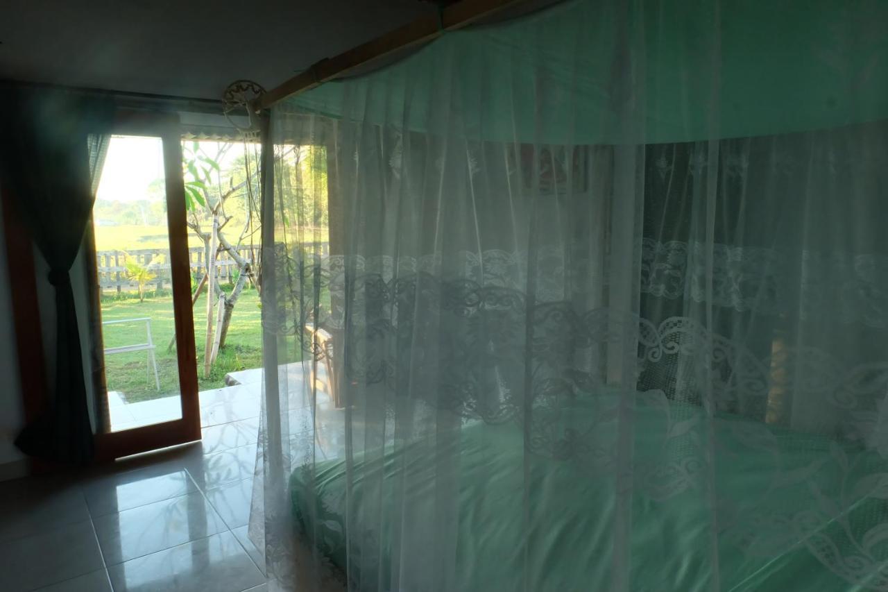 The Nyamo Surf & Stay Pulukan Exterior photo